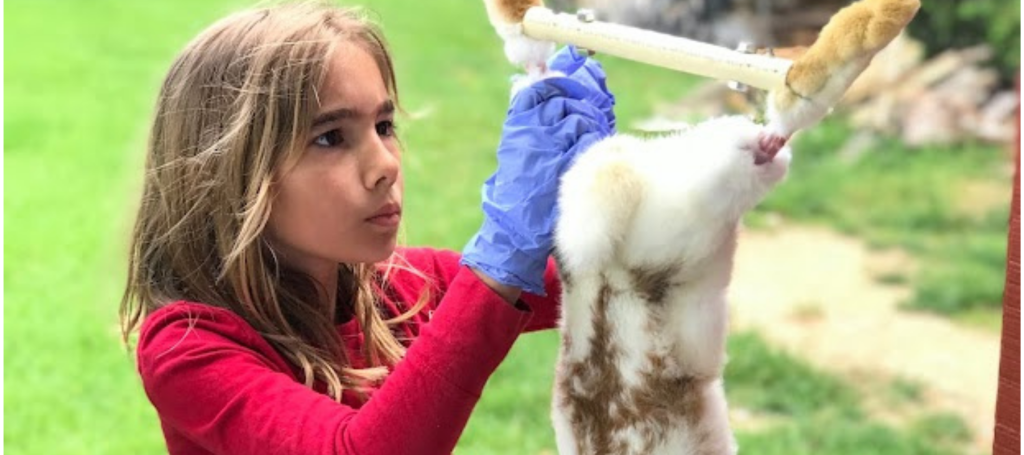 You Can Eat&nbsp;Rabbit?!