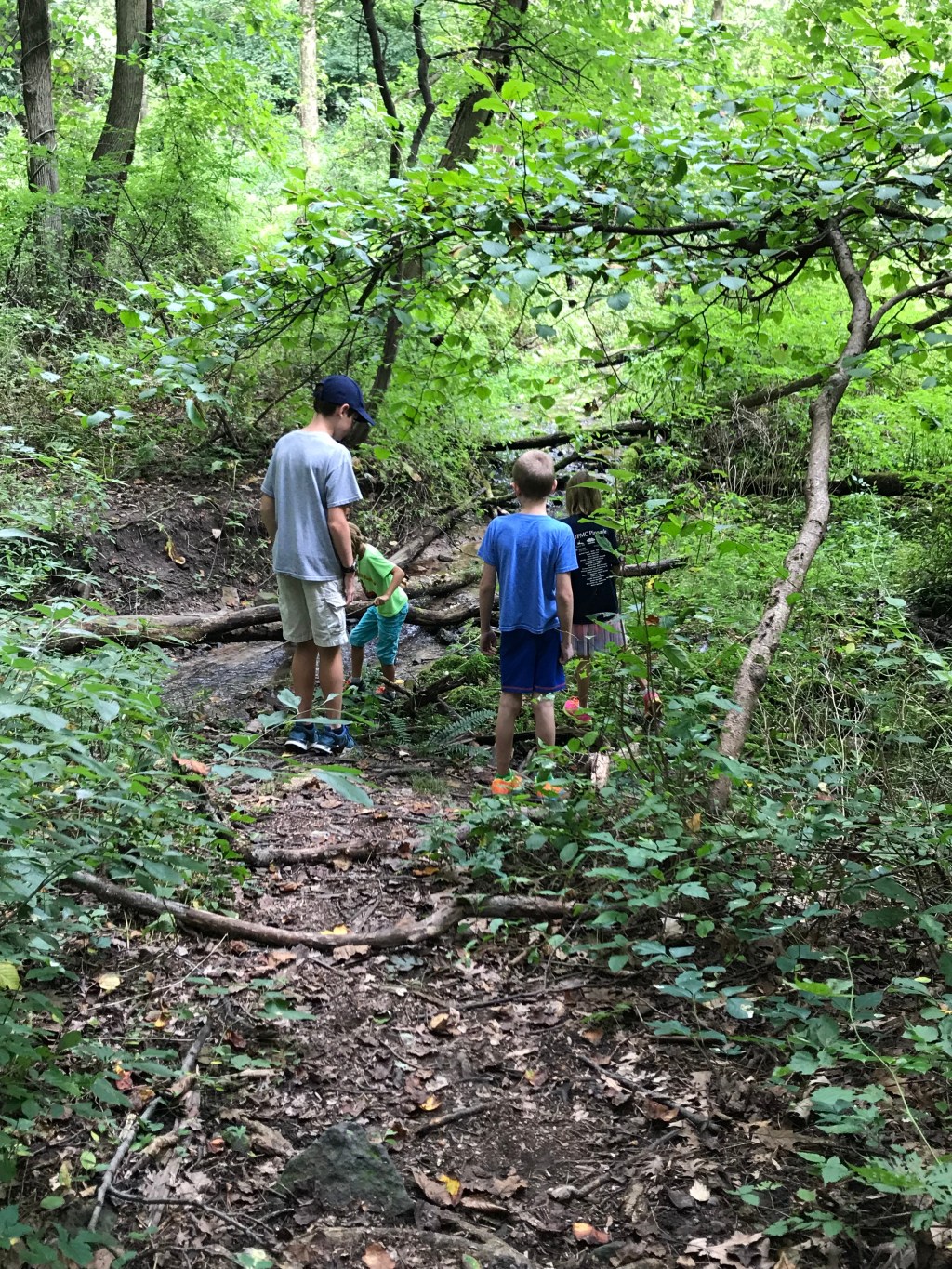 What is homeschooling?